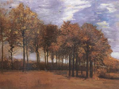 Vincent Van Gogh Autumn Landscape (nn04) China oil painting art